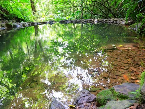 Nomada Republic Hotel El Valle, Natural pool