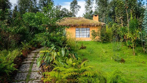 Sambora Kinigi, Room