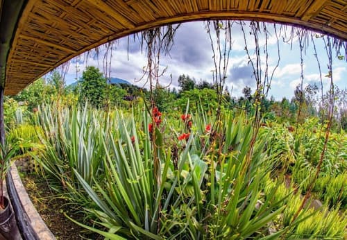 Sambora Kinigi, Room