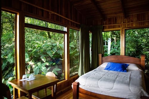 Hotel Flor de Bromelia, Room