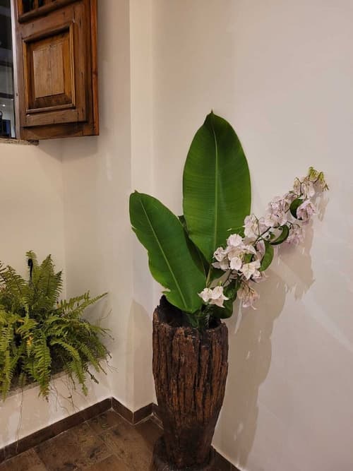 Pelourinho Boutique Hotel - OH HOTÉIS, Reception