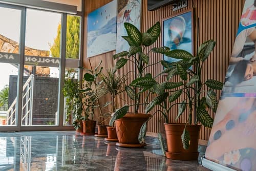 Pamukkale Apollon Garden, Reception