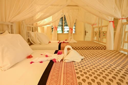 Lions Luxury Eco-Resort & Spa, Room