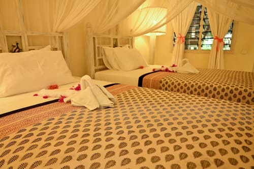 Lions Luxury Eco-Resort & Spa, Room