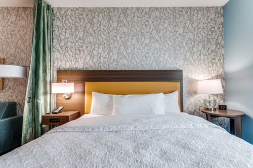 Home2 Suites by Hilton Dallas Medical District Lovefield, Room