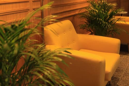 Pine Astoria Hotel, Lobby sitting area