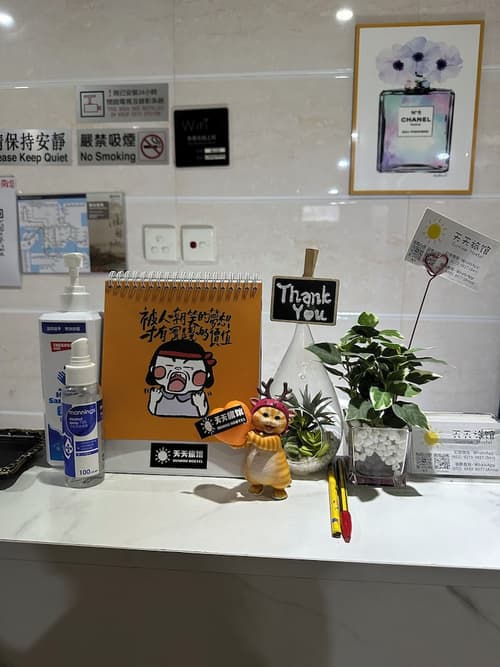 Sunrise Hostel, Reception