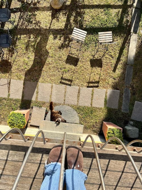 Locanda Valeria, Terrace/patio