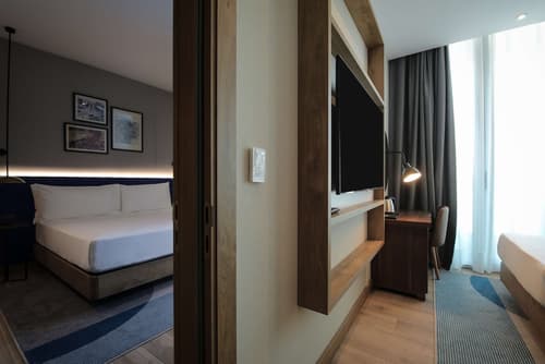 Hilton Garden Inn Ankara Cankaya, Room