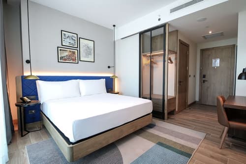 Hilton Garden Inn Ankara Cankaya, Room