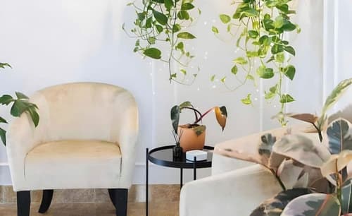 Ivy Luxury Hotel & Apartment, Reception