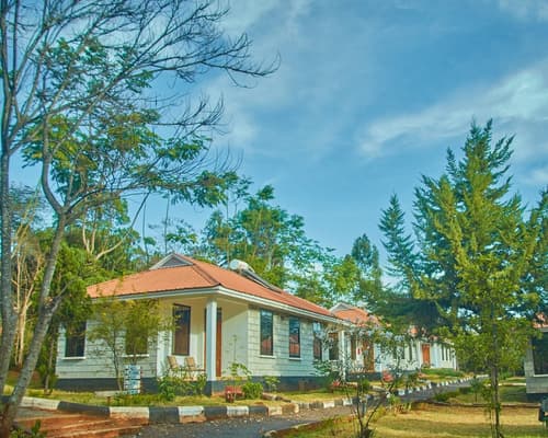 Ngorongoro Corridor Lodge, Room