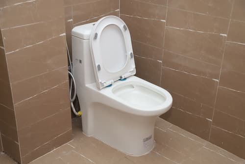 Hotel Nepal Inn, Room