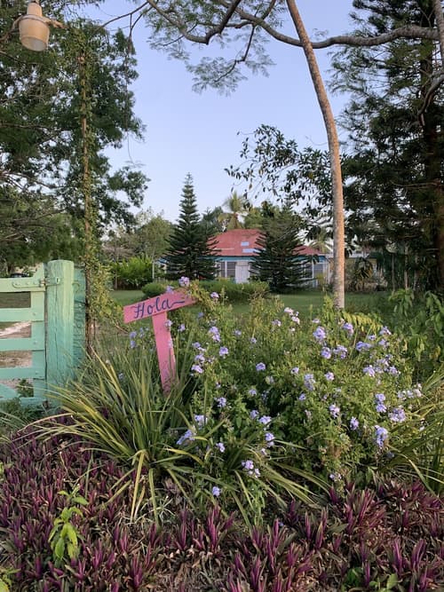 Campito Loving, Primary image