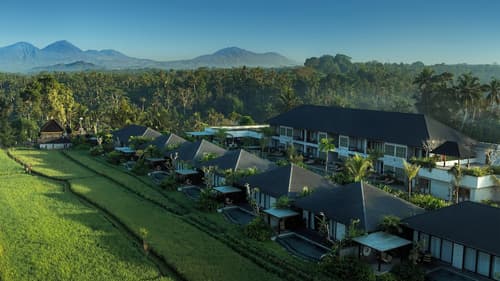 Inara Alas Harum, Primary image