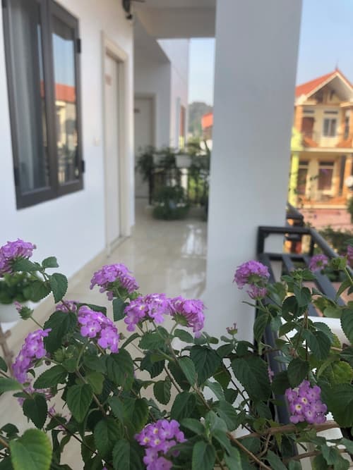 Della Luna Hotel Tam Coc, Terrace/patio