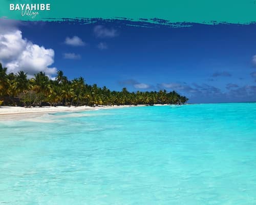 Tribe Inn & Rooftop Lounge, Primary image