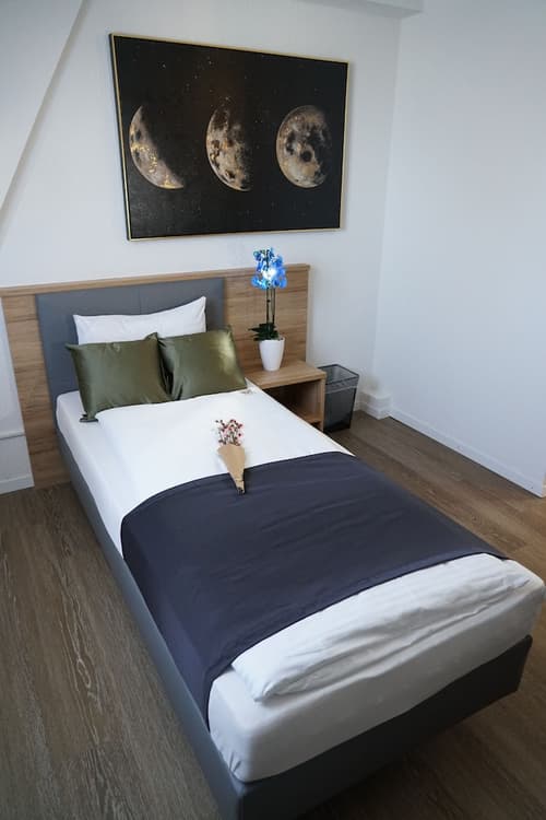 Centra Hotel Winterthur, Room