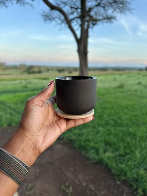 Anantya Serengeti, Room