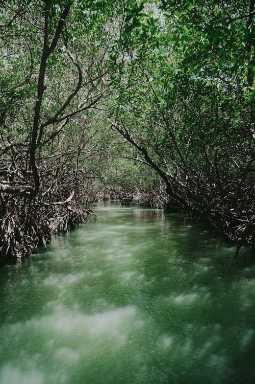 Hotel Icarai Beach, Beach
