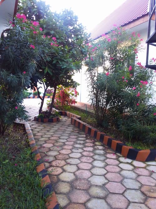 Karibu House Nungwi, Garden