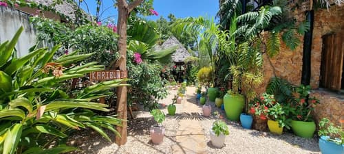 Salama & Mbuyuni Bungalows, Reception