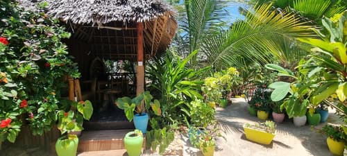 Salama & Mbuyuni Bungalows, Reception