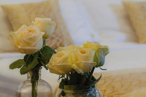 Cloud City Hotel, Room