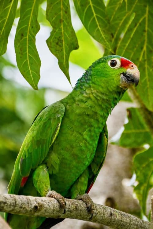 Akwaba Lodge, Miscellaneous