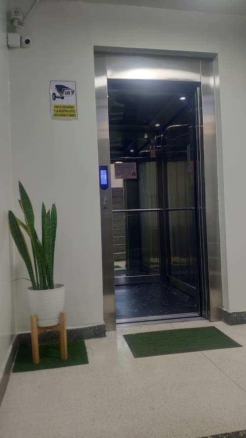 Zona céntrica Lima Histórica, Reception