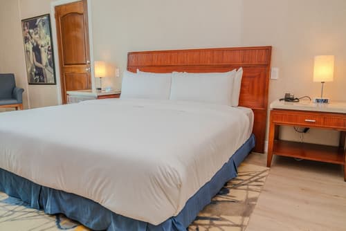 Waymore Hotel Spa & Casino, Room