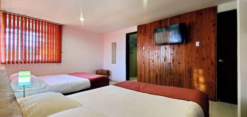 El Gran Chaparral, Room