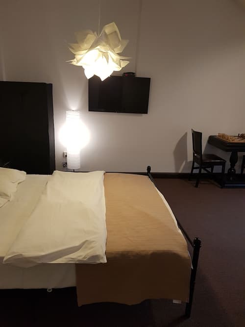 Casa Drumeţului, Room