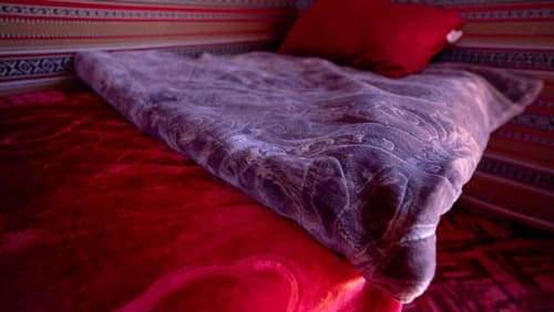 Wadi Rum Desert Heart, Room