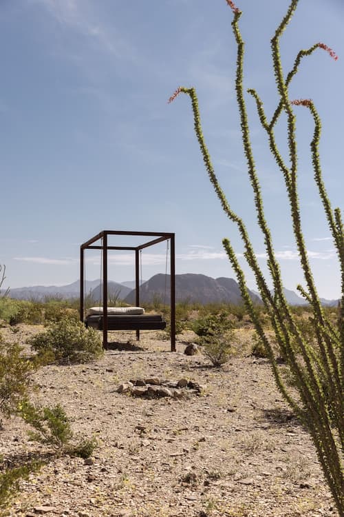 Willow House, Property grounds