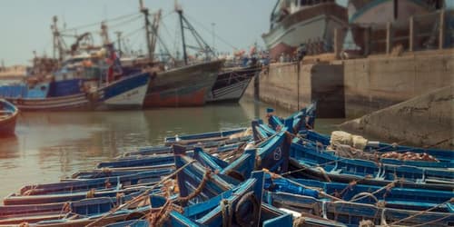 Morocco: Marrakech and the Coast