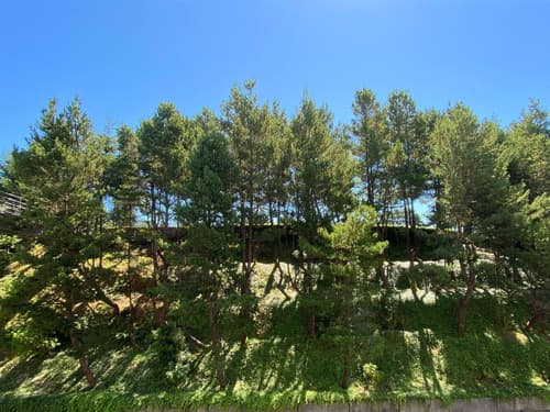 Best Western Plus Agate Beach Inn, Guest room amenity