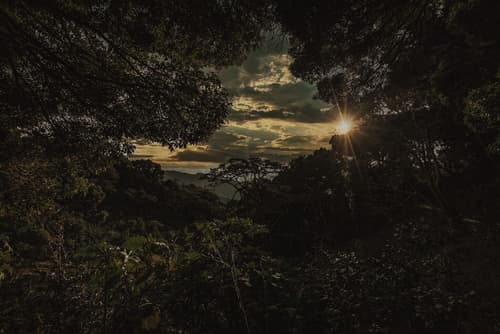 Socialtel Boquete, Exterior View