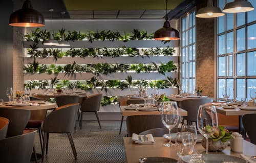 Catalonia Gran Via Madrid, Restaurant