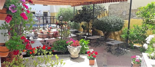 Averroes, General view