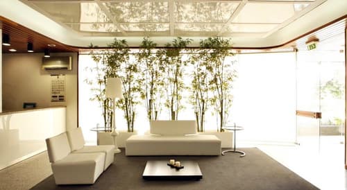 Costa de Prata II, General view