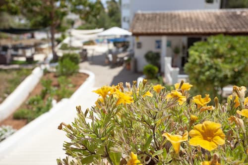 Apartamentos Europa, Lobby