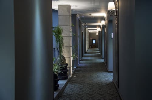 Zocalo Central, Food & Beverages Included, General view