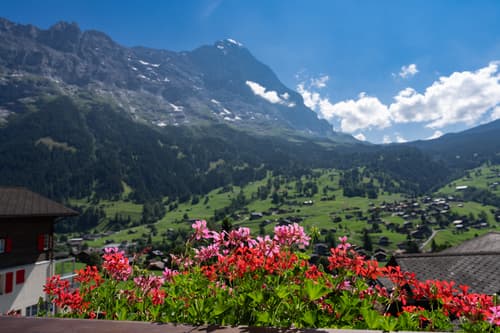 Jungfrau Lodge Swiss Mountain, General view