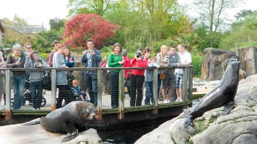 Novotel Bristol Centre, General view