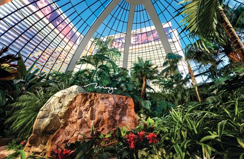 Mirage Las Vegas, Lobby