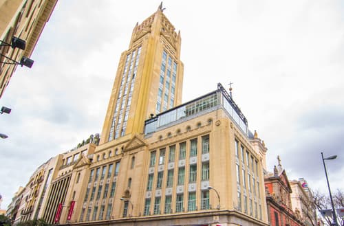 Petit Palace Alcala, General view