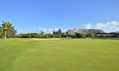 Melia Las Americas, General view