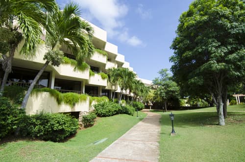 Hotel Los Cactus, General view
