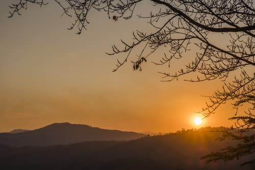 Phu Chaisai Mountain Resort & Spa Chiangrai, General view